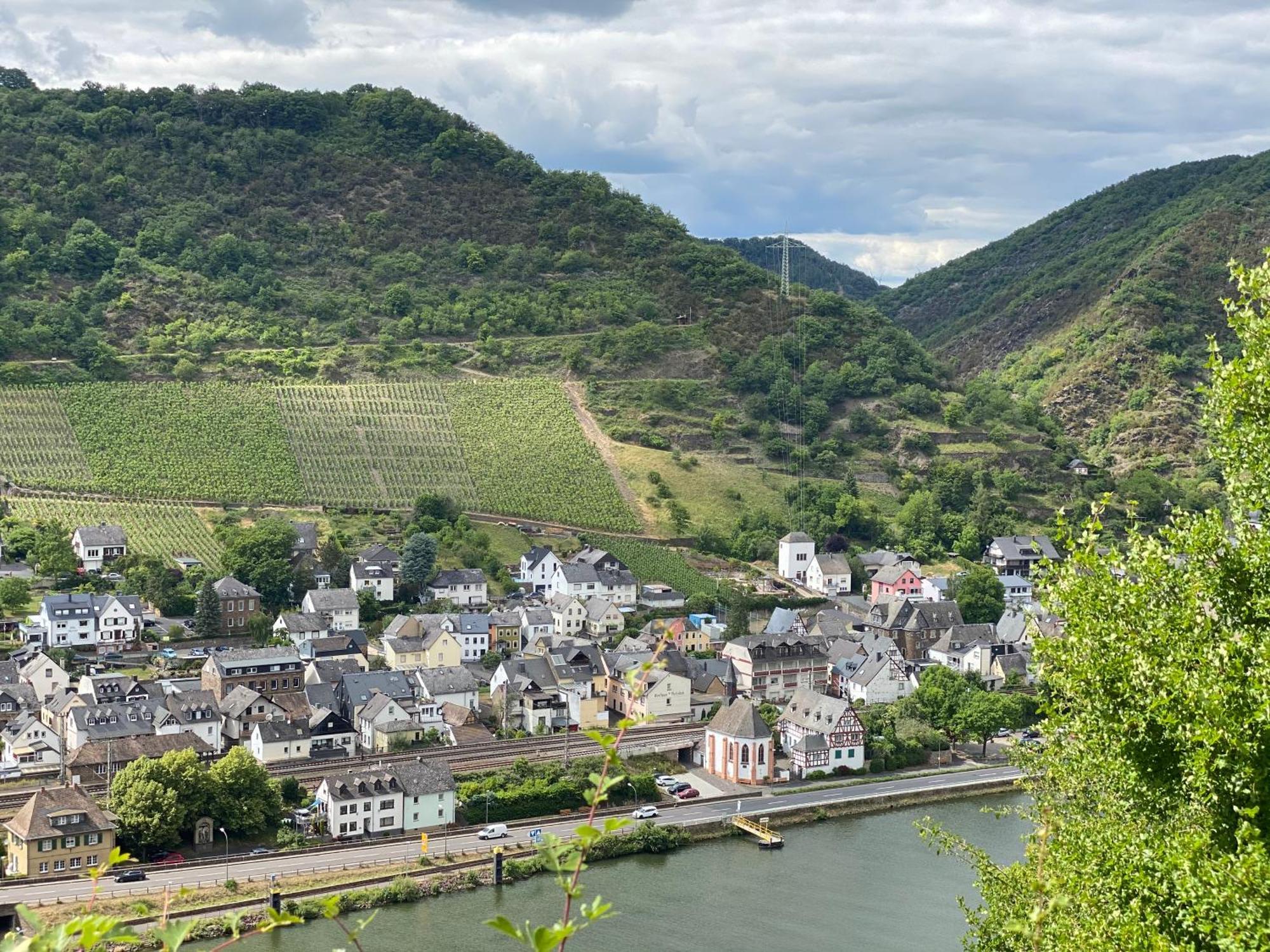 Mike'S Mosel Lodge Treis-Karden Eksteriør bilde