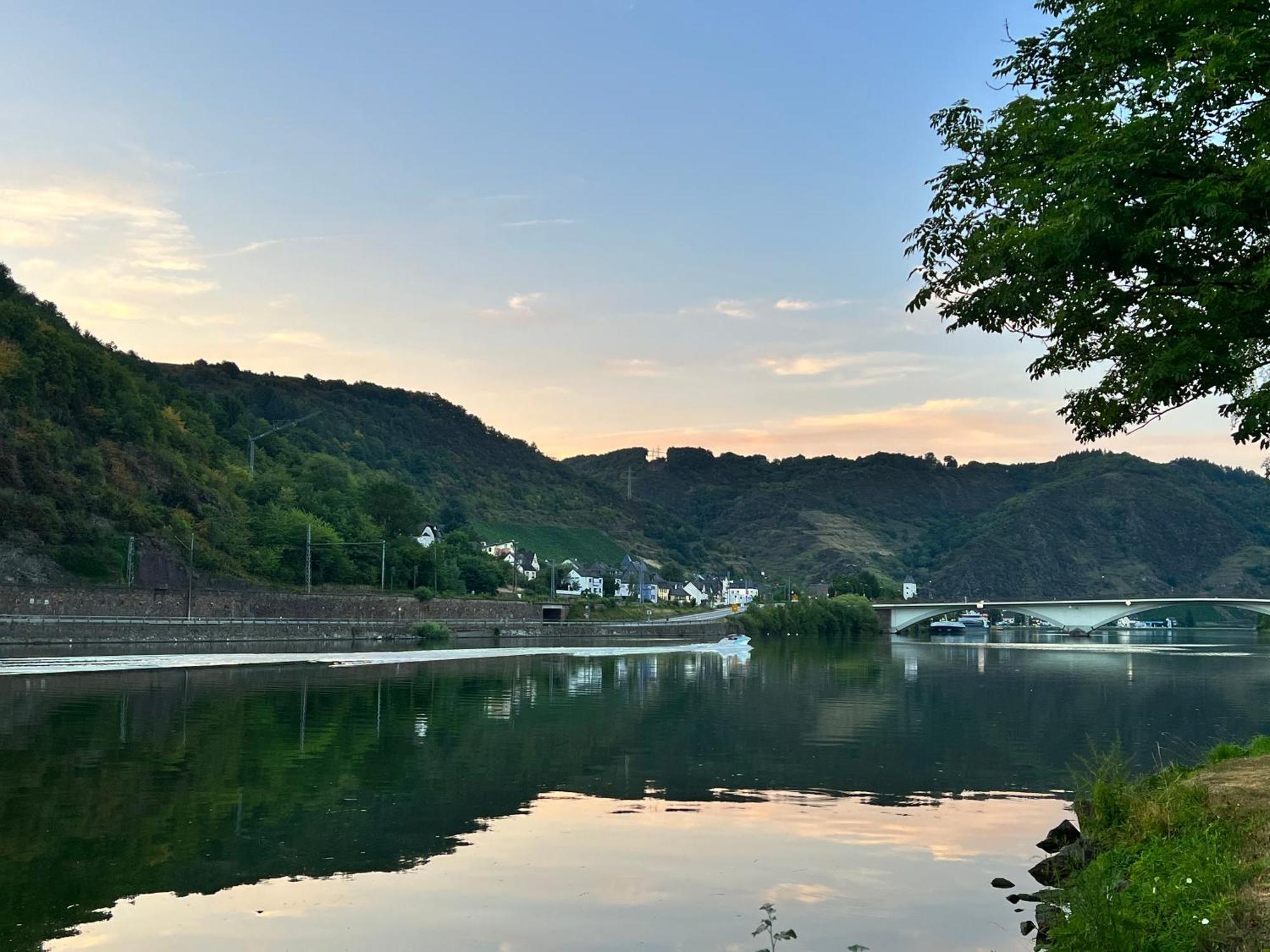 Mike'S Mosel Lodge Treis-Karden Eksteriør bilde